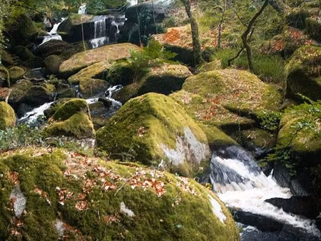 terrain constructible 2 000 m² avec cua – kerfermont  loqueffret (monts d'arrée)
