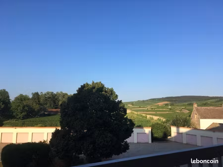 t3 avec terrasse + garage + cave