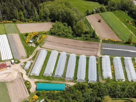 ferme maraichage ab à transmettre