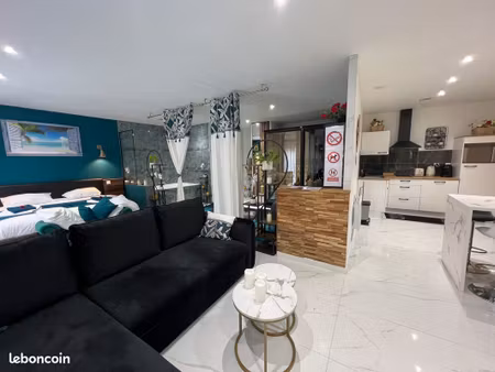 loft 2 pièces 70 m²