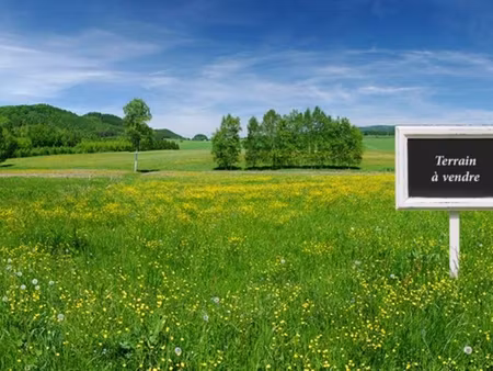 recherche terrain location/vente