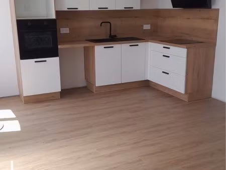 maison de charme rénovée avec jardin – 50 m²