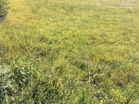 terrain 940 m² polliat