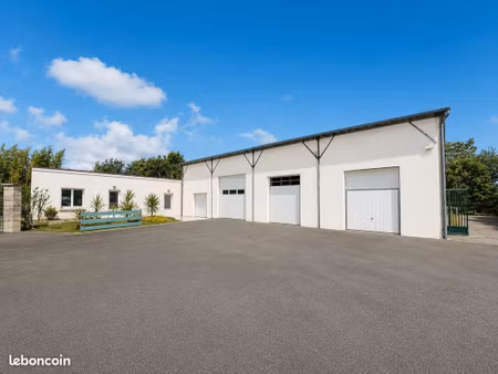 ensemble immobilier mixte - idéal investisseur 9% (déjà loué)