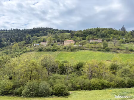 proximité satillieu   superbe domaine de caractère sur environ 16 ha de terrain