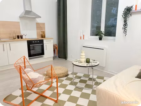 location appartement rénové 27m2 au coeur de pau