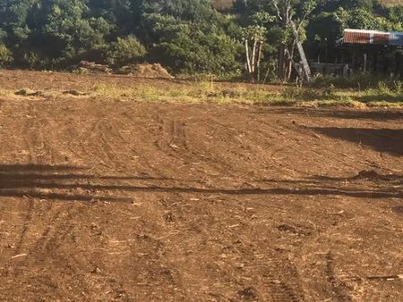terrain constructible