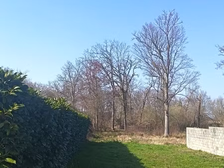 terrain 2 186 m² lanton