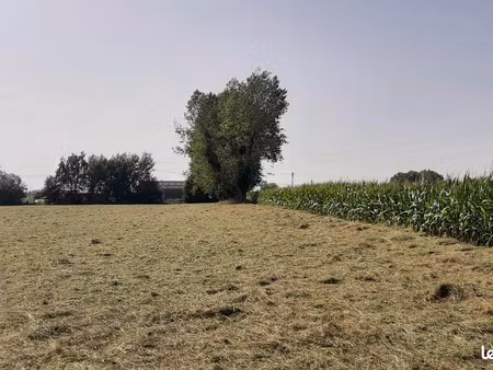 terrain 583 m² saint jean du cardonnay