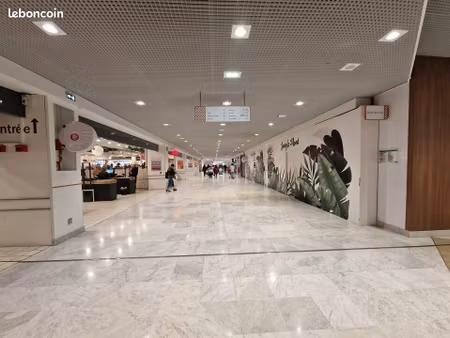 local commercial 309 m² nancy