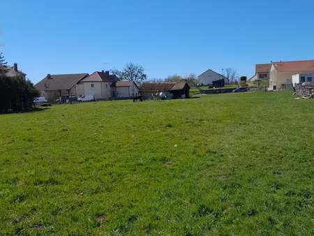 terrain constructible