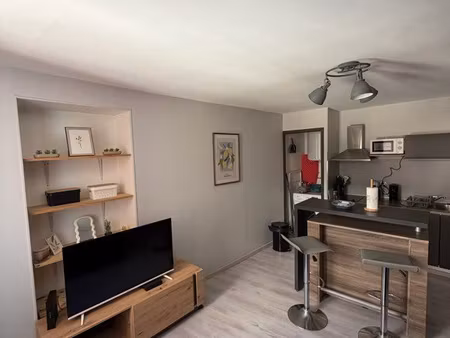 appartement centre ville aubenas