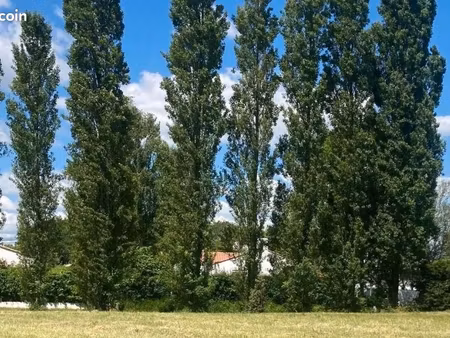 terrain 521 m² l ile d olonne