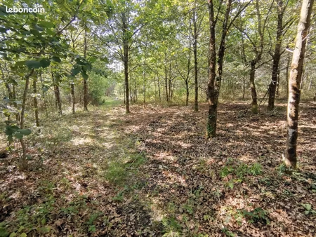 terrain romorantin 8000 m2