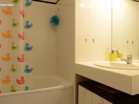 studio 1 pièce 19 m²
