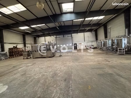 local d'activité 530 m²