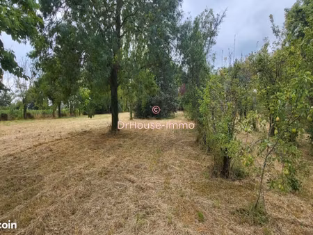 terrain 5380 m² martigne briand