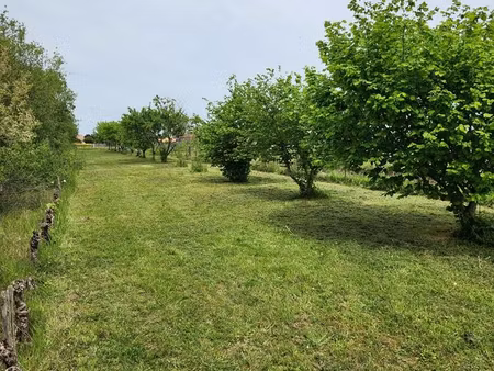 verger - terrain de loisirs non constructible