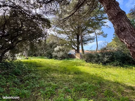 terrain 990 m² saint georges d oleron