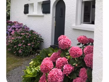 maison pornichet