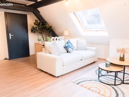 2 pièces meublé dans vieux schiltigheim