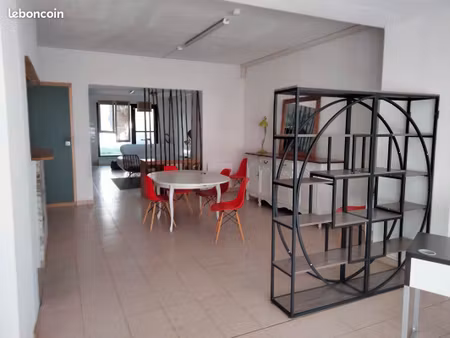 grand appartement 115 m2 rdc type loft
