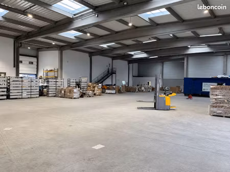 entrepôt 500 m² lille