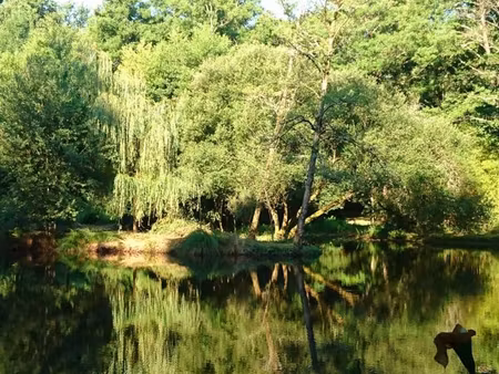 maison campagne avec étang  sans voisin (calme fraîcheur assurés)