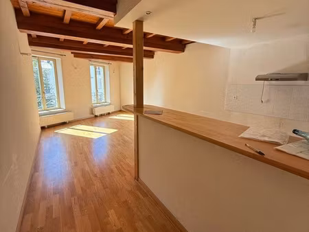 nancy centre — appartement meublé 93 m² • 3 chambres • parking privé 1 place