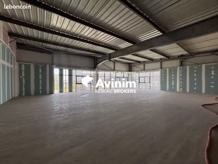bureaux 346 m² baie-mahault