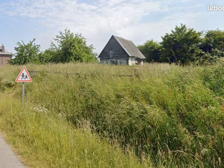 terrain constructible à cropus