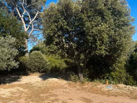terrain constructible pierrefeu du var