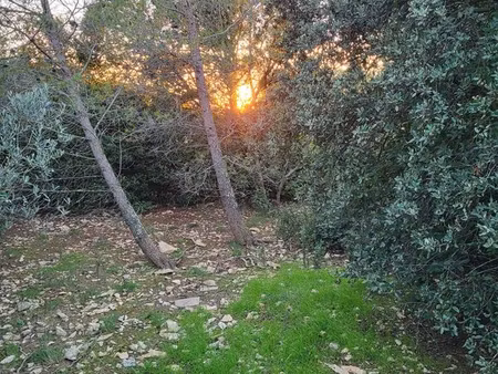 mazet 85 m2 route d'uzes - nimes