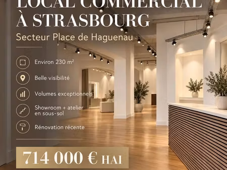 local commercial 230 m² strasbourg
