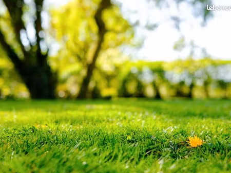 terrain 600 m² monnerville