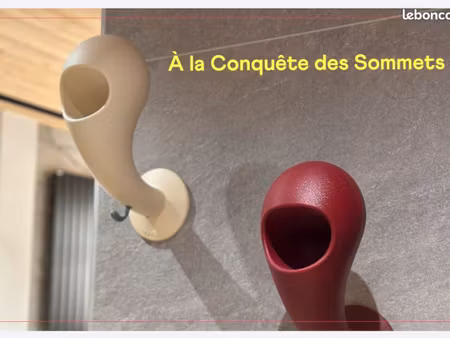 appartement pieds des pistes rénové 1 chambre et coin montagne