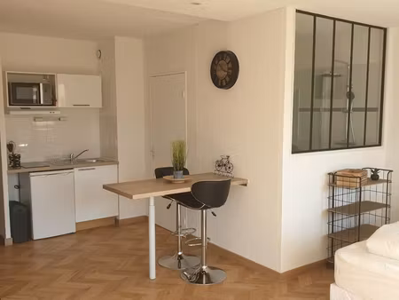 grand studio avec terrasse richter