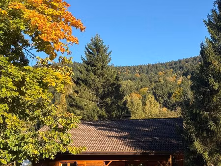 beau chalet traditionnel