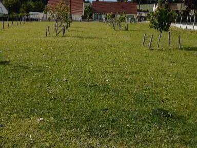 terrain constructible
