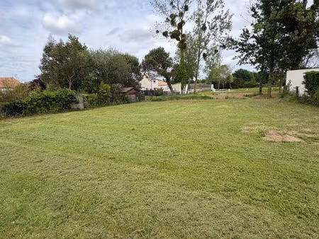 terrain constructible