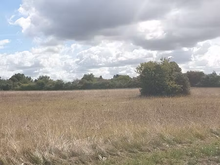 terrain à bâtir de 677 m2 au prix de 64400 à meursac (17)