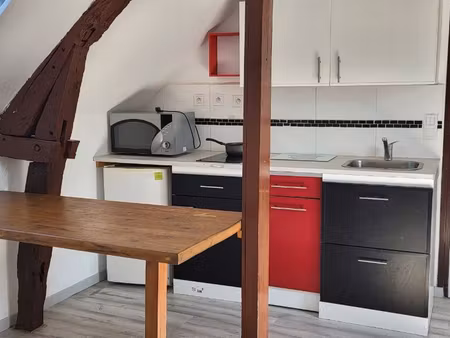 studio mezzanine lumineux 26 m²