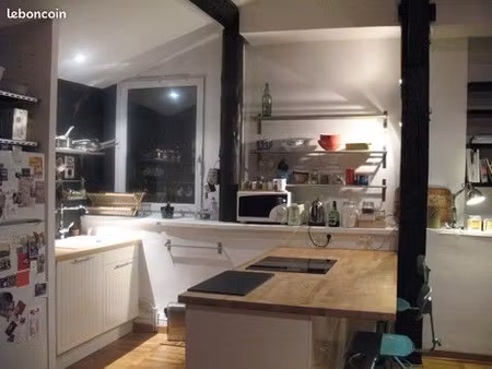 meublé 55m² quai arloing – lyon 9