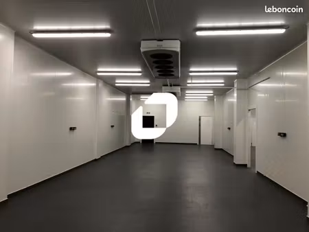 local d'activité 527 m²