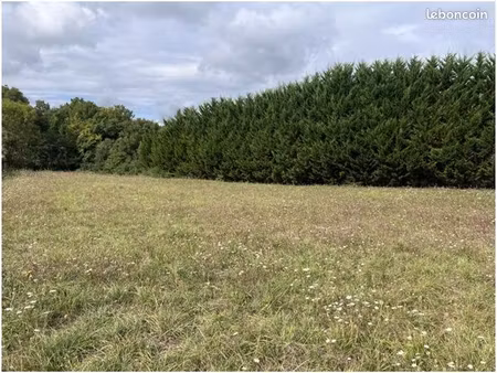 terrain à bâtir de 2175 m2 au prix de 40000 à maine-de-boixe (16)
