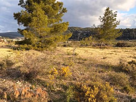 terrain 7100 m2