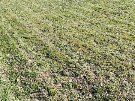 terrain constructible