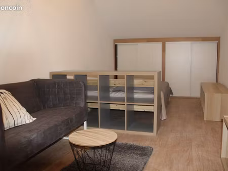 grand studio duplex  accès jardin partagé