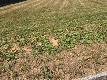 beau terrain plat agricole