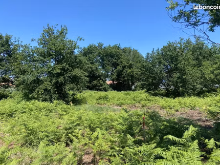 terrain à bâtir de 350 m² à gastes (40)
